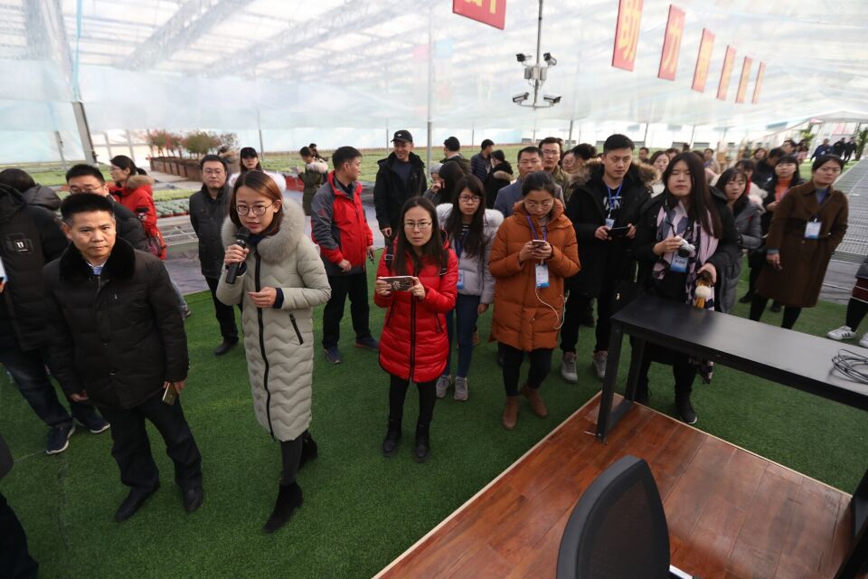 看直播就能在线买花 青州花卉创业园把鲜花卖到全国