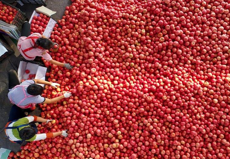 ��д��ʱ���ĸ���ƪ�¡�����ϰ��ƽͬ־Ϊ���ĵĵ�����ȫ����ĸ���ʾ¼