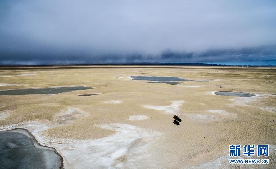 ��д��ʱ���ĸ���ƪ�¡�����ϰ��ƽͬ־Ϊ���ĵĵ�����ȫ����ĸ���ʾ¼