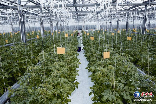 东营大项目建设牵住“牛鼻子” 加快新旧动能转换