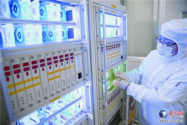 东营大项目建设牵住“牛鼻子” 加快新旧动能转换