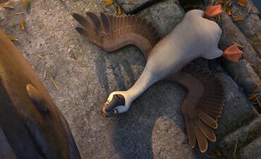 ��������Ѽ���ء�ˮ�桱��Ƶ Сȷɥ��̬��������