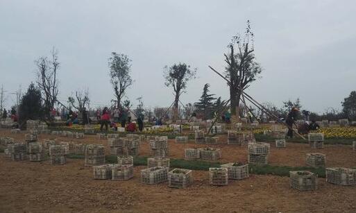 济南节后“透绿” 开工建设项目17处
