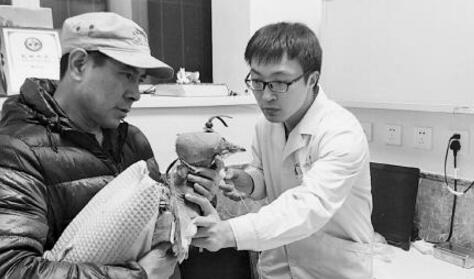 夫妇救下奄奄一息“鸟中大熊猫” 全国仅400只