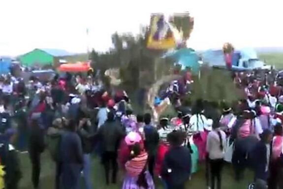 倒霉！秘鲁男子狂欢节传统砍树活动中被树压死