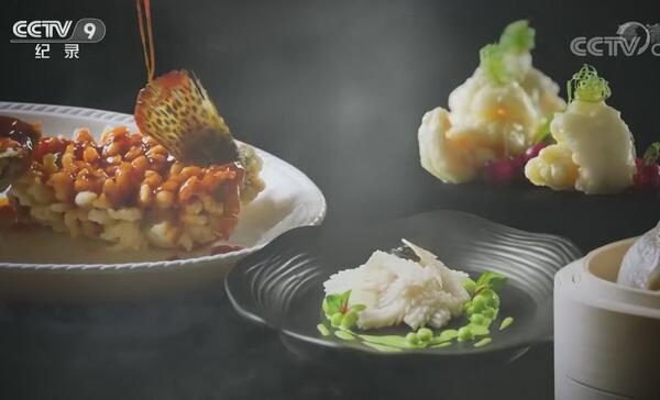 ���3��Ӧ���� ������������Ѱ����ʳ��������İ���