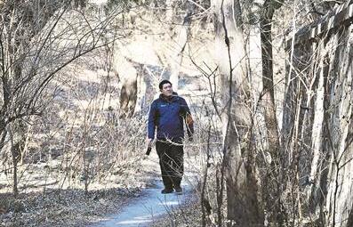 北京百余天无降水 香山200防火护林员严防死守