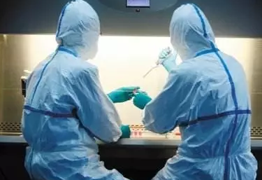 ��������!���в�����Ȼת�� ��Ҫ�����ͱ���Ȼת��Ϊ����H1N1