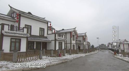 【微视频】幸福观察：移民新村的张奶奶和猫