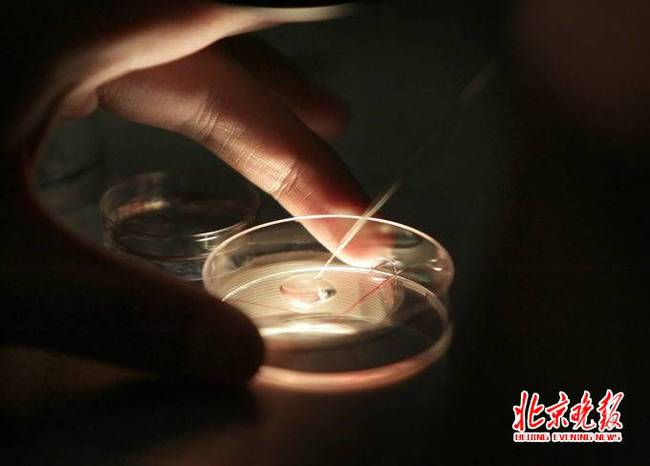 丈夫单方废弃胚胎 法院判男方侵权：赔偿女方三万