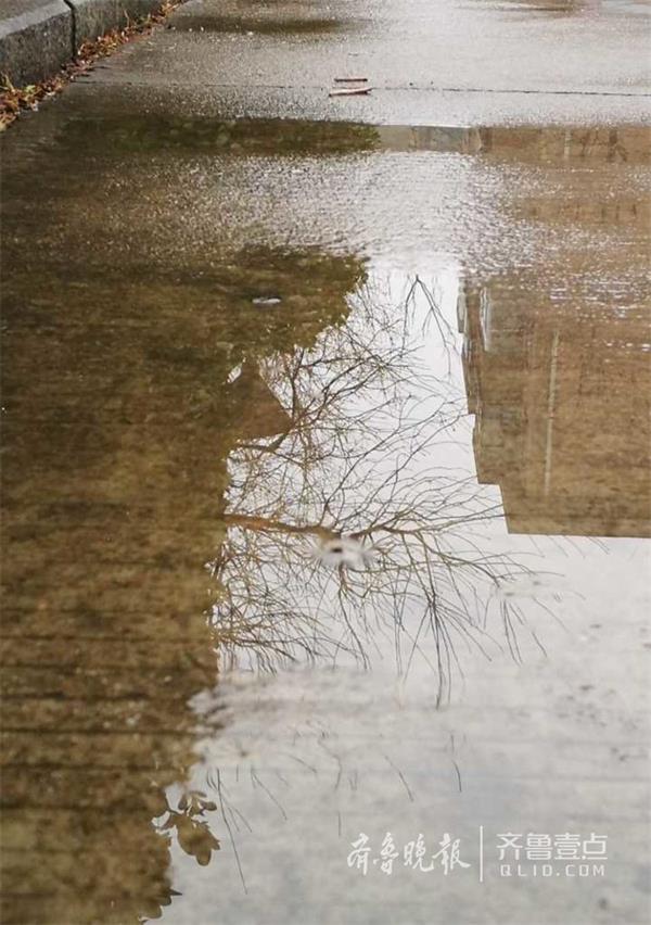济南今春第一场春雨降临：湿润大地万物 让一切充满生机