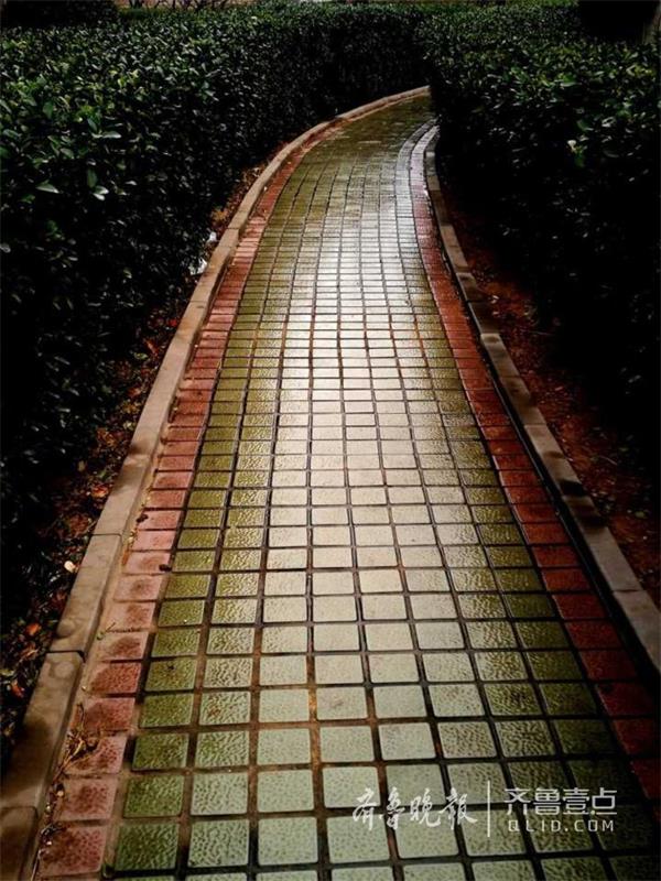 济南今春第一场春雨降临：湿润大地万物 让一切充满生机