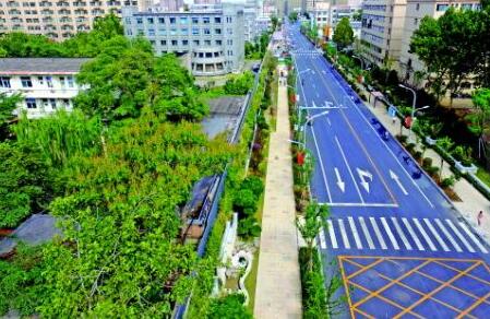 有望“文明立法”