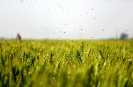 新华社社评：携手新征程 奋进新时代——写在全国政协十三届一次会议开幕之际