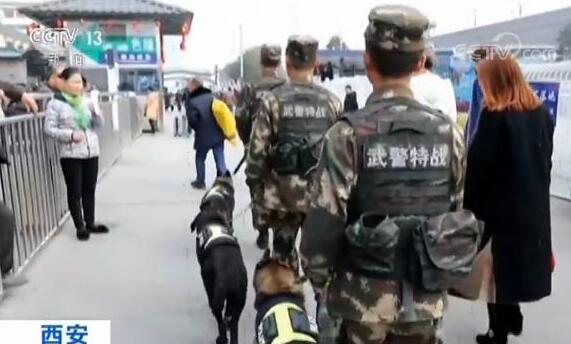 特殊的巡逻者：不一样的战友 一样的责任