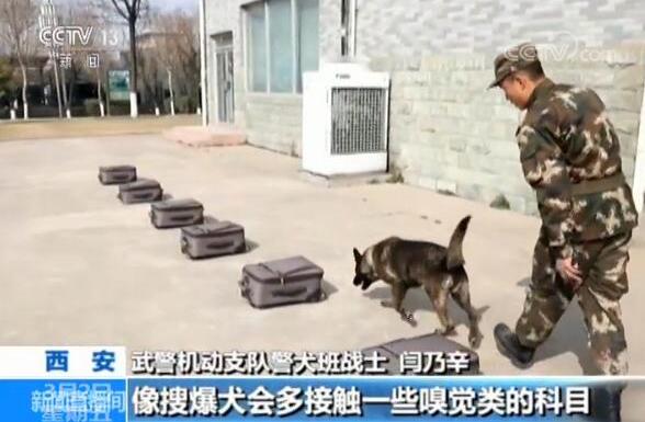 特殊的巡逻者：不一样的战友 一样的责任