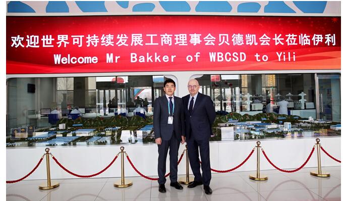 ����ɳ�����չ�������»�Ϊ�����Ρ����ޡ�������