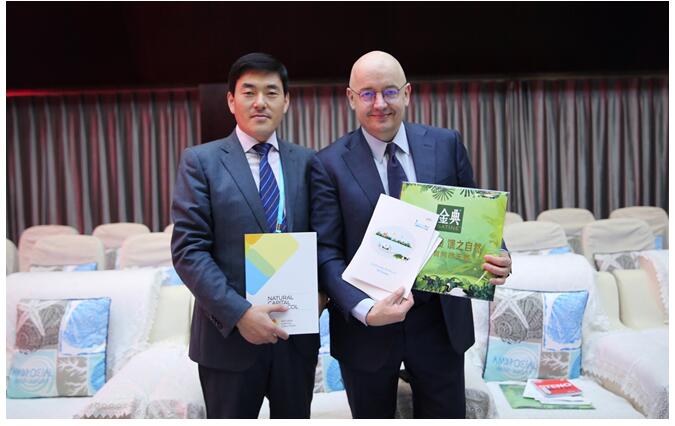 ����ɳ�����չ�������»�Ϊ�����Ρ����ޡ�������