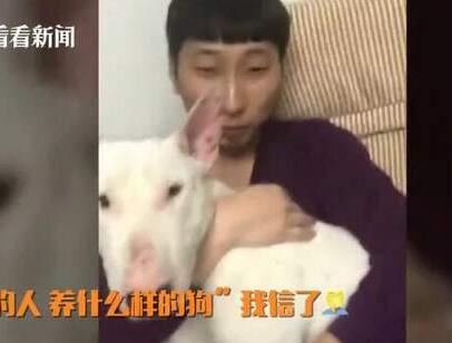 笑翻了!宠物养久成父子脸 狗狗一转过来笑到崩溃:亲生的!