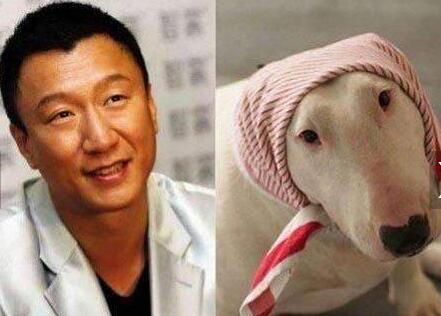 笑翻了!宠物养久成父子脸 狗狗一转过来笑到崩溃:亲生的!