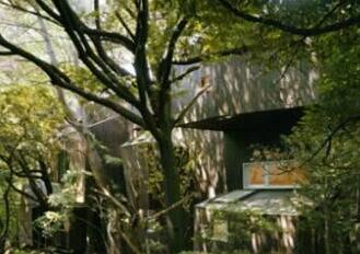 真相感人！20人和树举行婚礼 发誓用余生爱护树木！