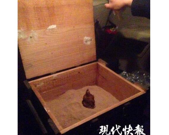 吓一身冷汗！中学生探险挖到宝 手雷被孩子们玩耍后丢弃在树林里！