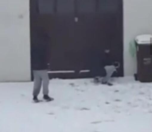 哭笑不得！警察抓贼打起雪仗 爱尔兰警察和贼打雪仗结果贼溜了