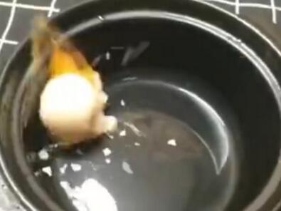 活久见!暴力炒菜哥爆红 网友直呼:隔着屏都能感受到餐具的绝望