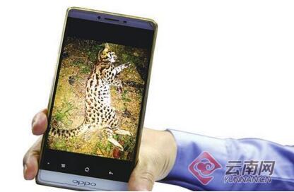 实力作死!网红上传打猎视频 西双版纳一男子快手APP上炫耀悲剧了