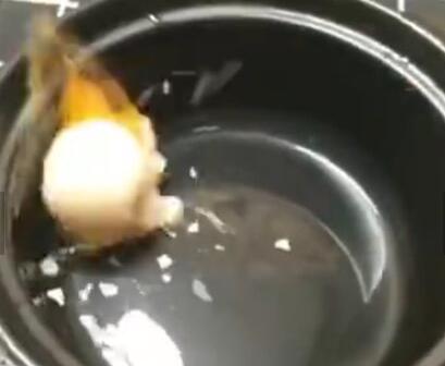 菜是被吓熟的? 暴力炒菜哥爆红