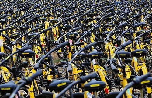 一眼望不到头！南京共享单车死城 近20位拖车工人每天从不间断拖车