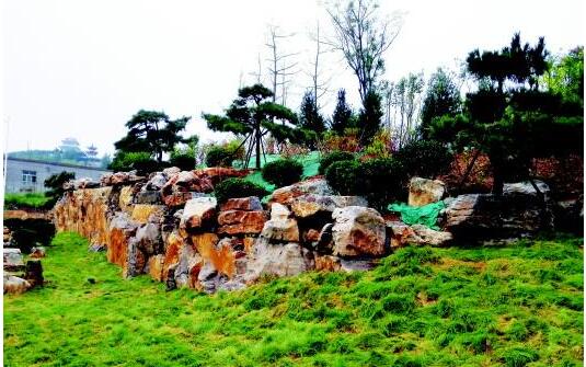 2018年济南拆违拆临力度不减 便民举措更实!