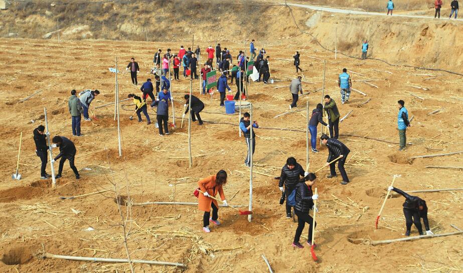 “过几天我要再来看看这些树”——长清马山植树者的心声