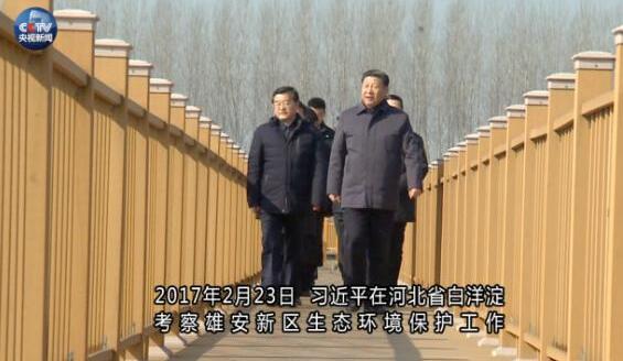 原创时政微视频丨从深圳到雄安