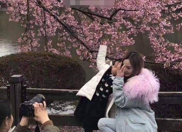 贾乃亮呢？李小璐甜馨游日本 