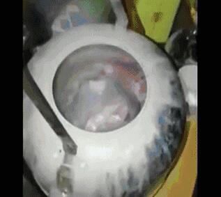 见过