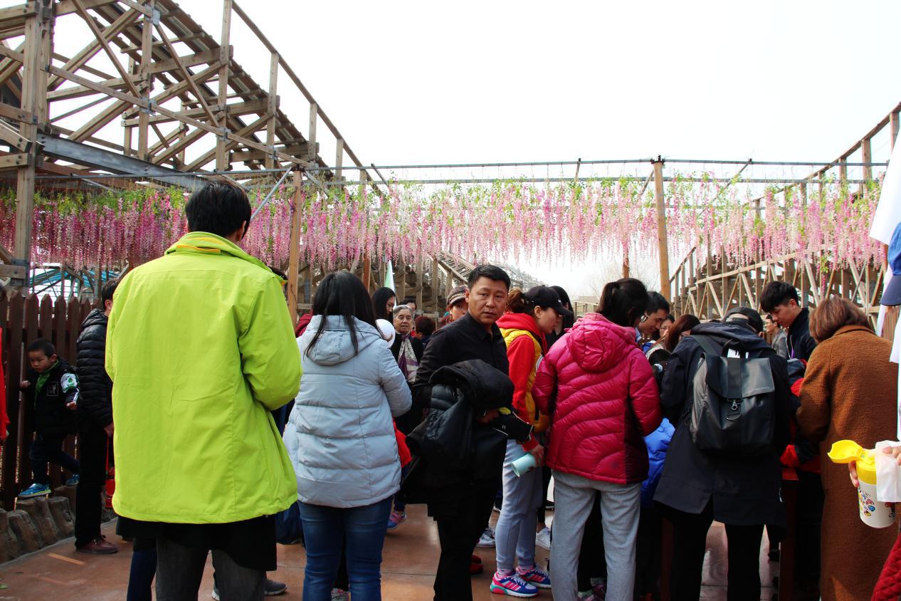 ���Ϸ�������ֲ����˳����չ �����ͥ��������ֲ��֮��