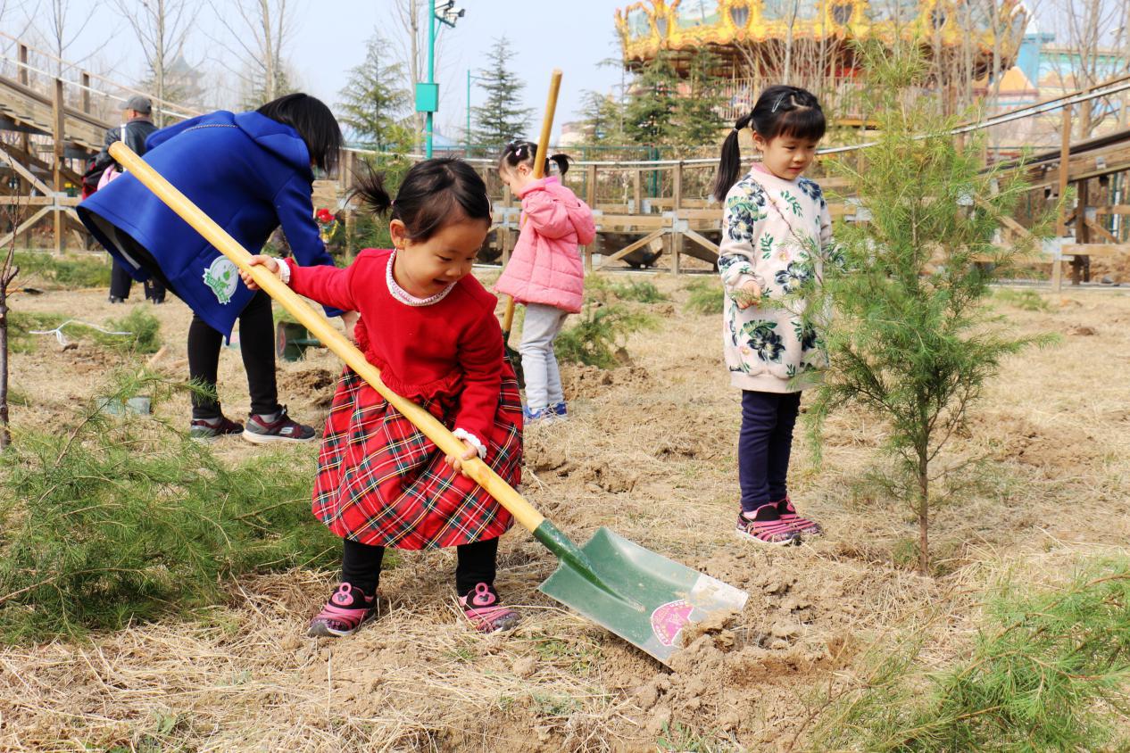 ���Ϸ�������ֲ����˳����չ �����ͥ��������ֲ��֮��