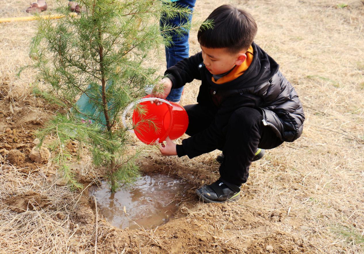 ���Ϸ�������ֲ����˳����չ �����ͥ��������ֲ��֮��