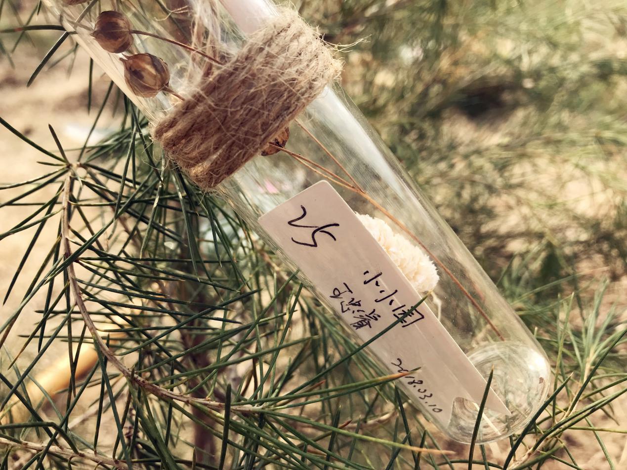 ���Ϸ�������ֲ����˳����չ �����ͥ��������ֲ��֮��