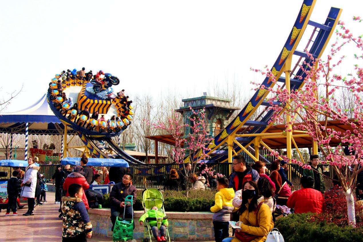 ���Ϸ�������ֲ����˳����չ �����ͥ��������ֲ��֮��