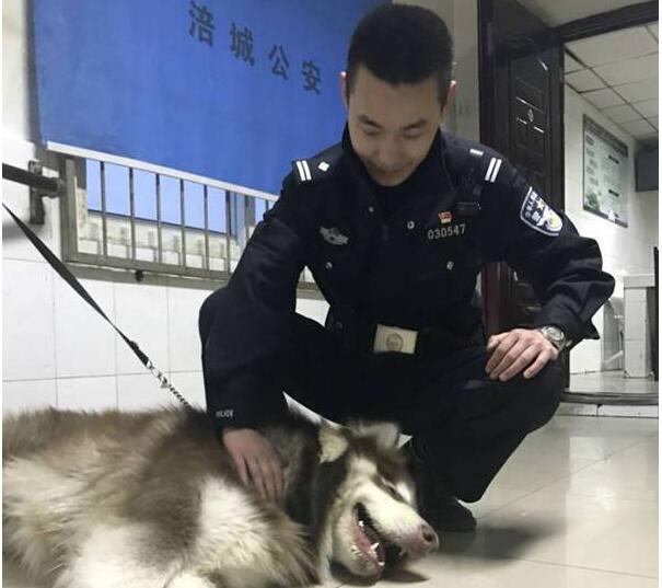 汪精！迷路狗狗吃垮民警 每餐吃24根火腿2天吃光附近超市！