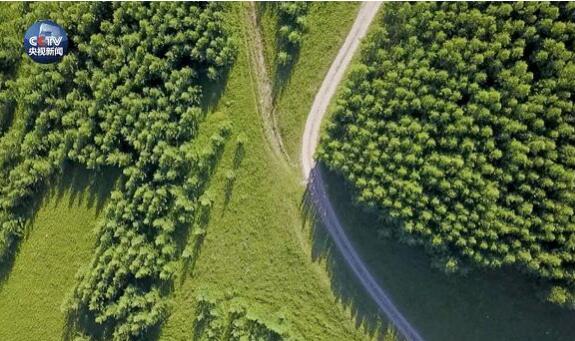 央视原创时政微视频丨美丽中国说