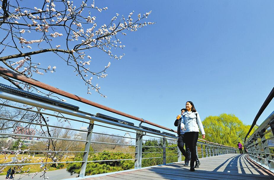 大风吹来蓝天 泉城阳光明媚碧空如洗