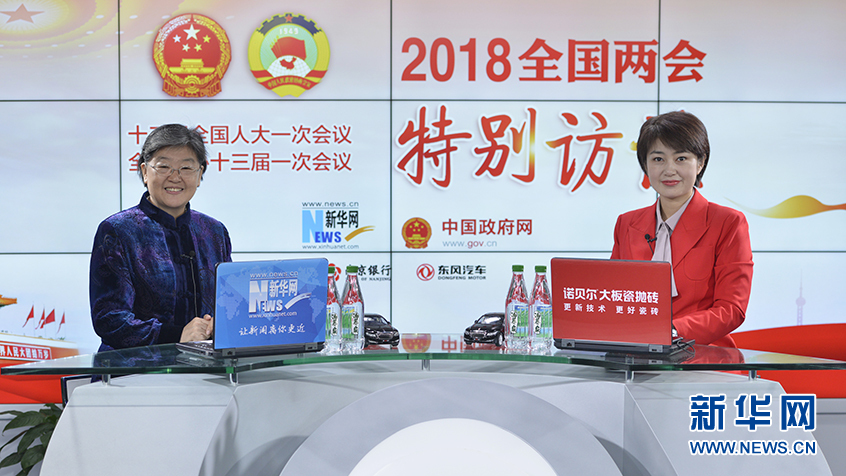 孙铁英：大病医疗保险意义深远