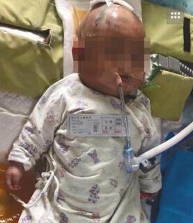 东莞一女婴被高楼坠落苹果砸中 警方提取全楼DNA查到抛物者