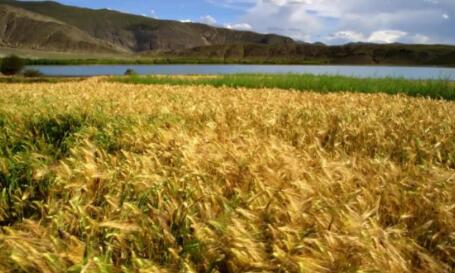 新时代，去奋斗！