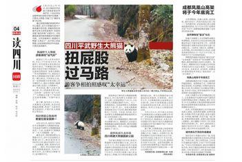 野生大熊猫扭屁股过马路引游客拍照 和游客“眉目传情”对望