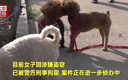 ĸ鶼ƭ!Ůĸ̩ϡչա8ֻ̩ 񱨾̩ϱ