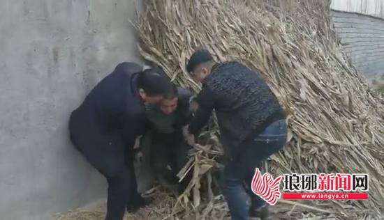 临沂警方破获奇葩诈骗案 涉案百余起不管啥都骗